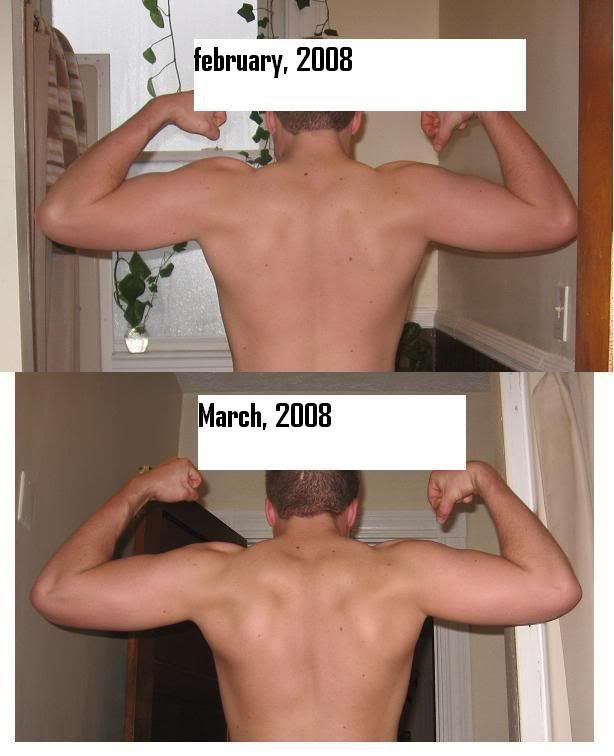 backcompare.jpg