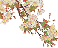 blossom.gif