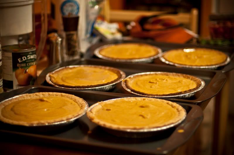 [Image: pumpkinpies.jpg]