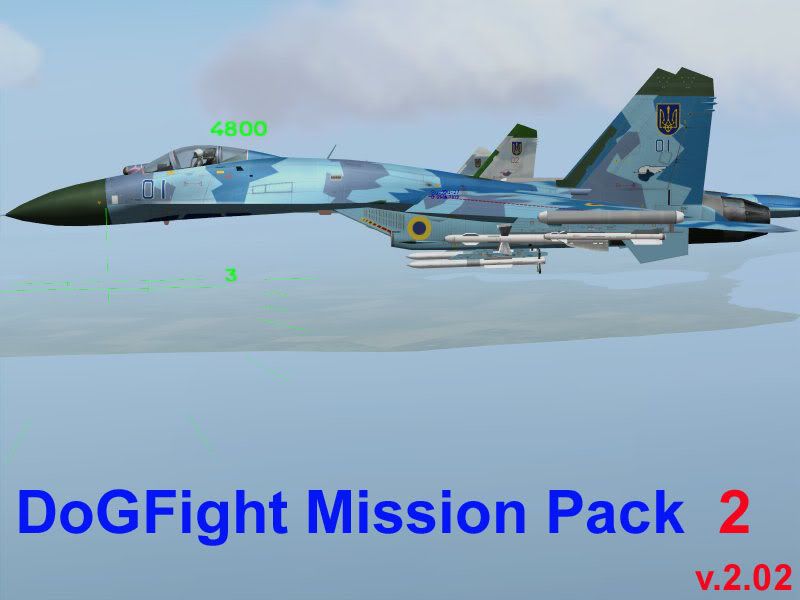 DOFIGHTV202FLANKER.jpg