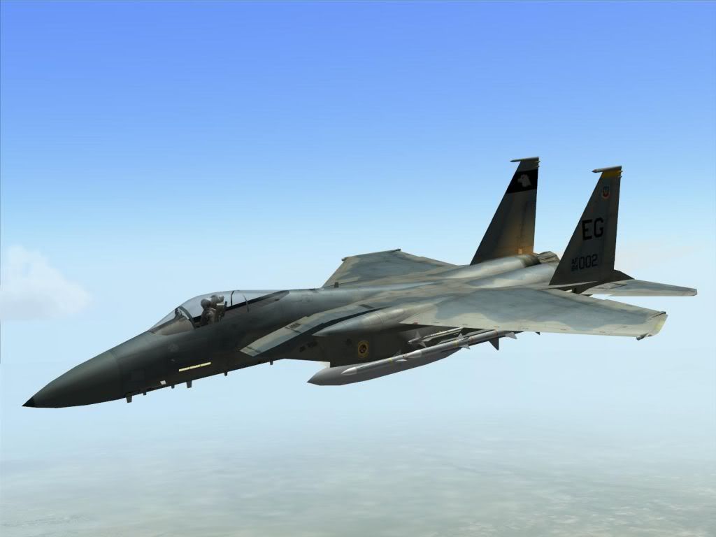 F15DS1.jpg