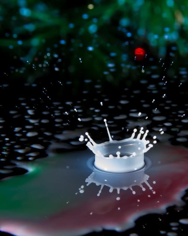 IMAGE: http://img.photobucket.com/albums/v247/12Rogues/drops-1-4.jpg