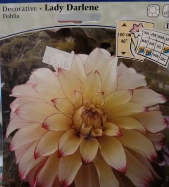 Lady Darlene ??? on tag