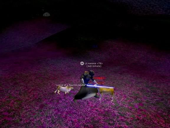 screenShot0114.jpg