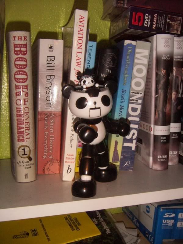 its a panda. And its piloting a giant robot panda. And it rocks. What else is there to understand?
