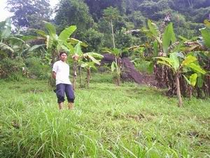 Mas Foens mau jual sawah