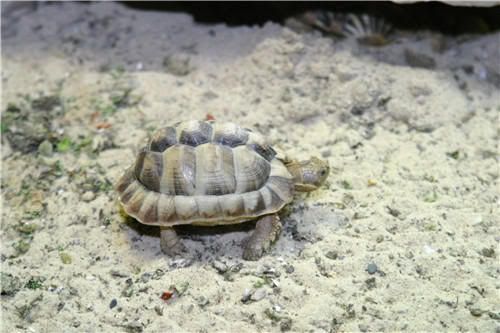 image1-1.jpg