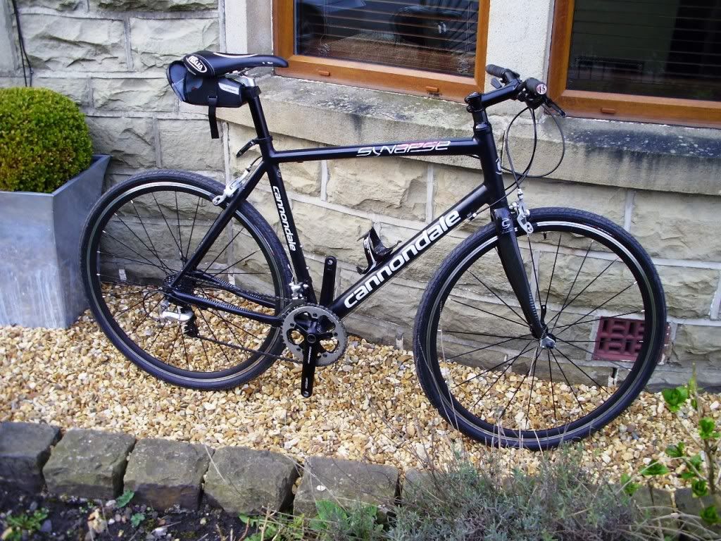 cannondale synapse speed