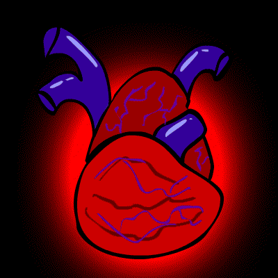 heart Pictures, Images and Photos