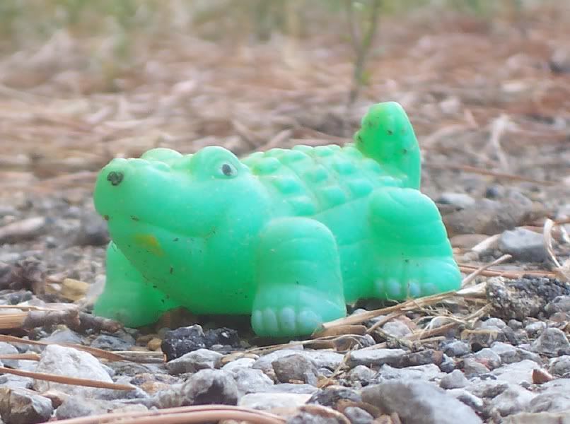 crocodiliansplasticussmalli3.jpg