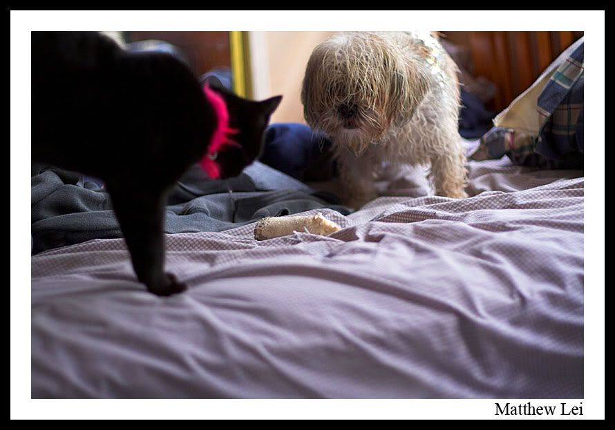 IMAGE: http://img.photobucket.com/albums/v248/MattsOnlyHope/IMG_0118sm.jpg