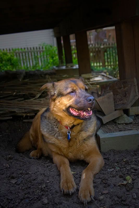 IMAGE: http://img.photobucket.com/albums/v248/MattsOnlyHope/IMG_1820b.jpg