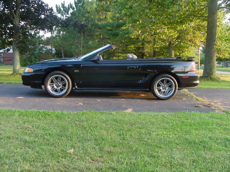 Pics of mustang with ford lowering springs | Ford Mustang Forums