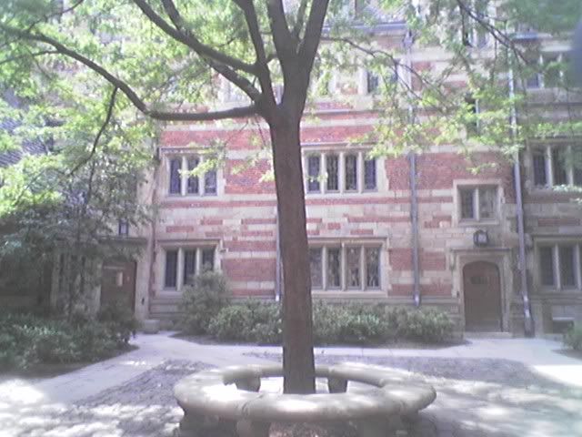 That is one of the courtyards of the 12 residential colleges that make up