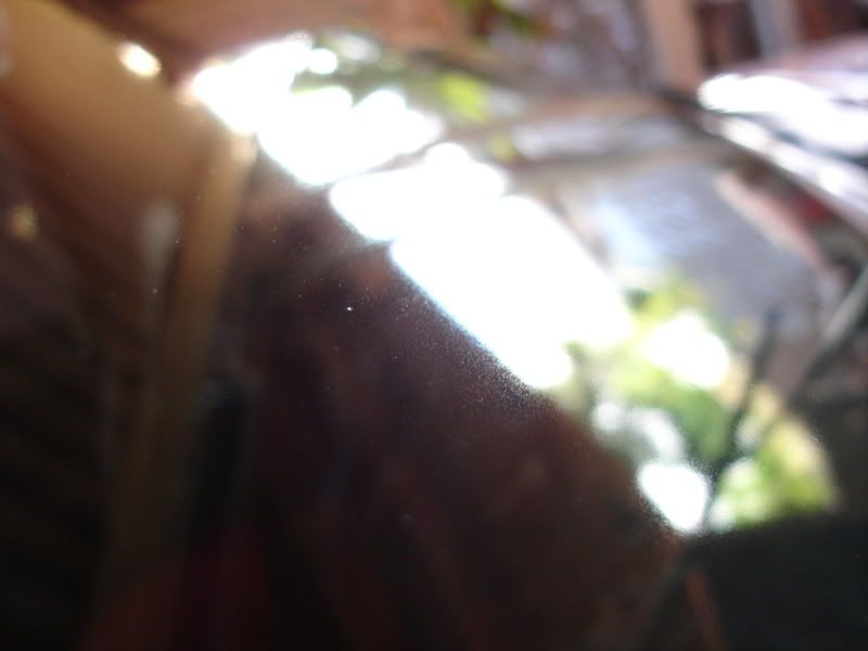 DSC07876.jpg