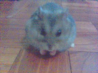 Image hosting by Photobucket