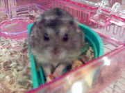 Image hosting by Photobucket