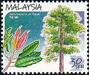 Buah Perah stamp, Malaysia. Photohosting:Photobucket.com