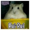 Posted Image