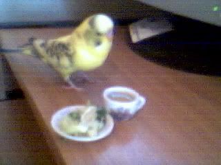 lunch.jpg