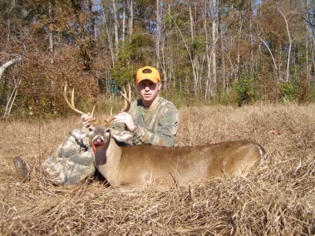 8pointer2640x480.jpg