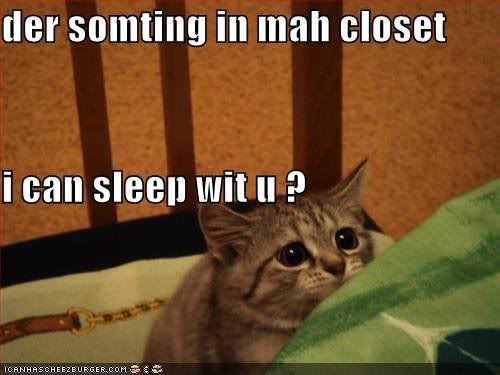 Closet cat