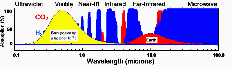 Infrared Distribution and Absorption