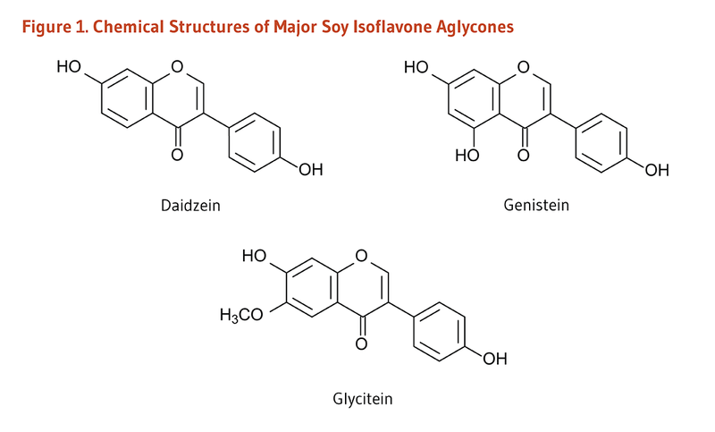 [Image: soy%20chemical%20structure%201...png]