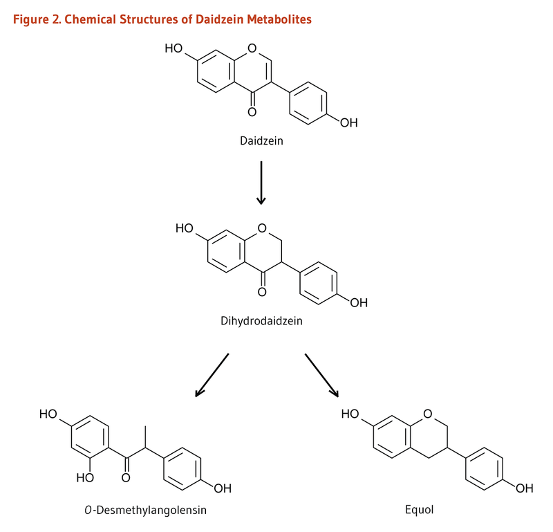 [Image: soy%20chemical%20structure%202.png]