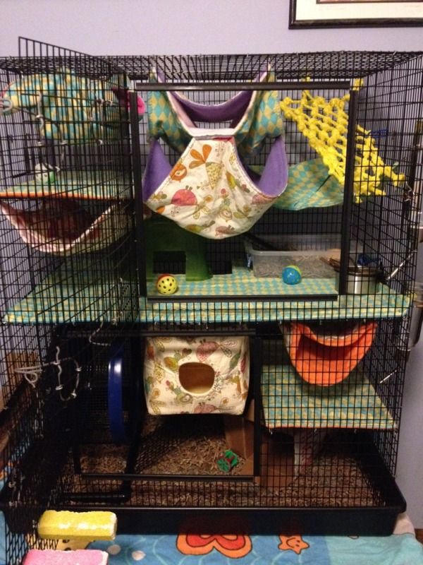 Getting ratties soon, need help with cages r/RATS