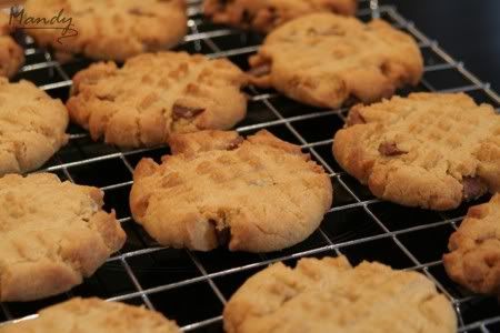 Peanut Butter Cookies with Choc Chunks
