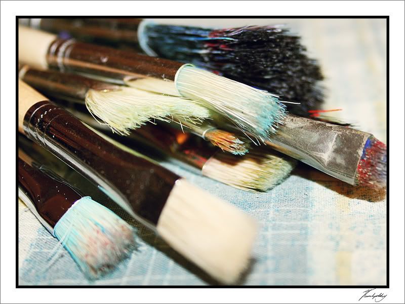 IMAGE: http://img.photobucket.com/albums/v251/jane4/Photography/Feb14-07/137.jpg