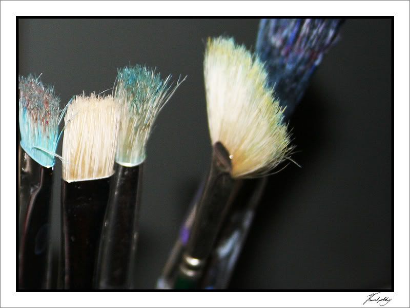 IMAGE: http://img.photobucket.com/albums/v251/jane4/Photography/Feb14-07/138.jpg