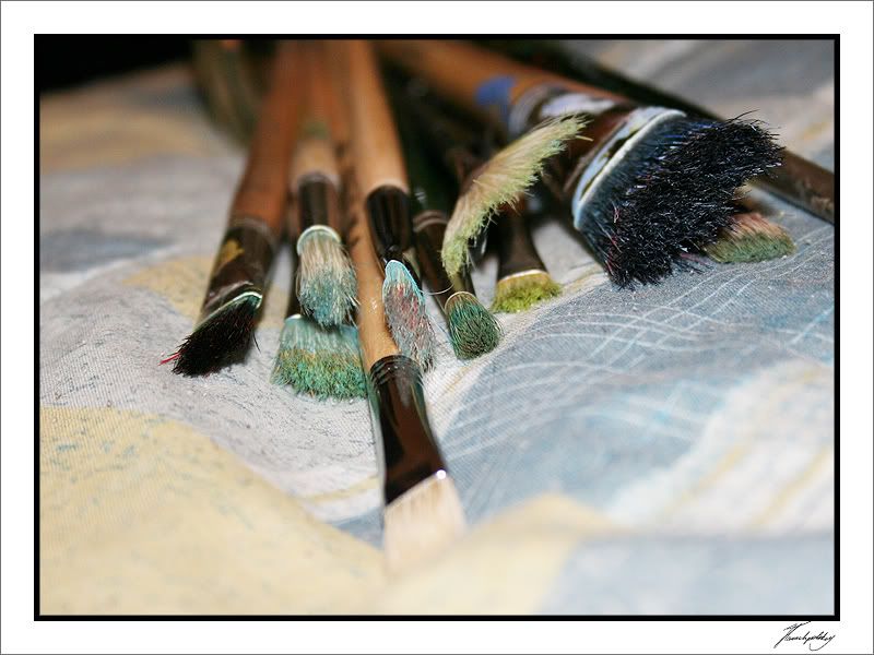 IMAGE: http://img.photobucket.com/albums/v251/jane4/Photography/Feb14-07/140.jpg