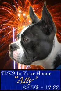TDK9 In Your Honor