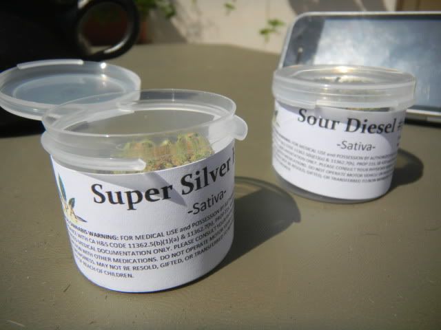 Super Silver Haze dense sticky stanky as fuck mouthwatering