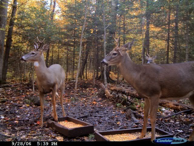 2006DeerEndSept130.jpg