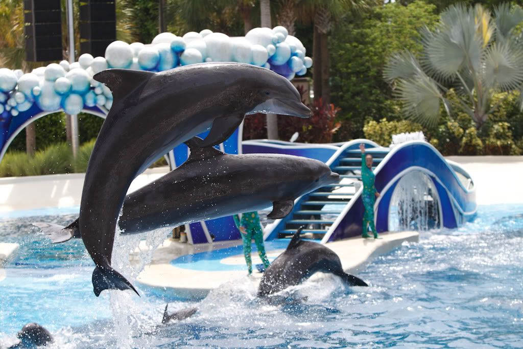 IMAGE: http://img.photobucket.com/albums/v253/Banger242/Disney2of2.jpg