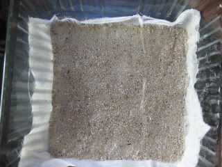 chia soak_second attempt