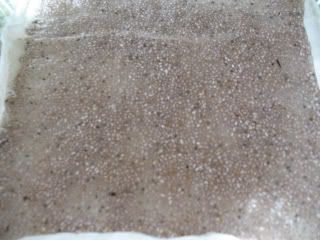 chia soak_second attempt