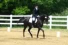 Gwendolyn and her Sadie, dressage