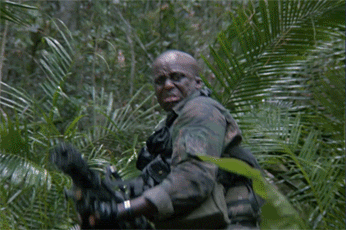 0004253e.gif