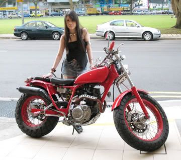 http://img.photobucket.com/albums/v253/niiikii/nikiblog/Bike2.jpg