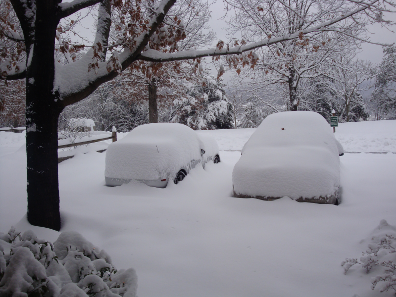 snow12009.png