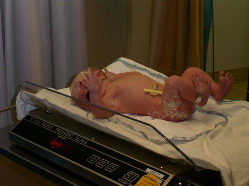 Image hosting by Photobucket