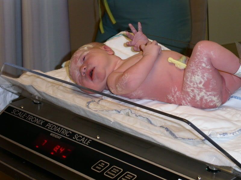 Image hosting by Photobucket