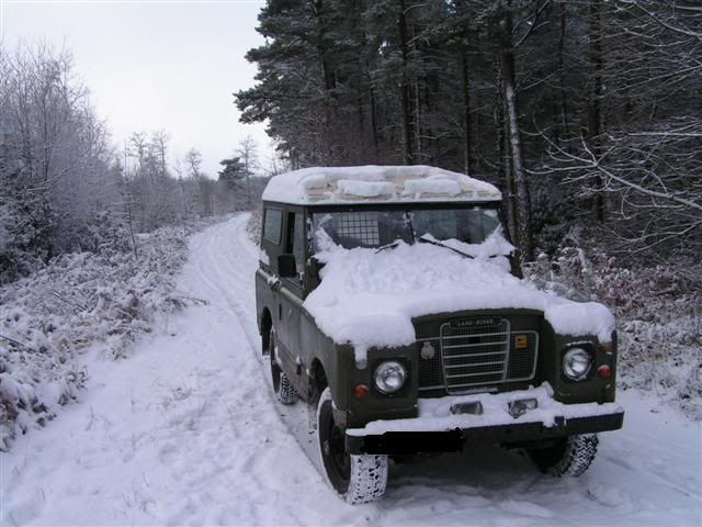 snowylandy.jpg