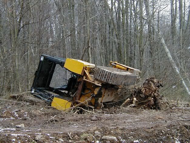 FloppedDeere001.jpg