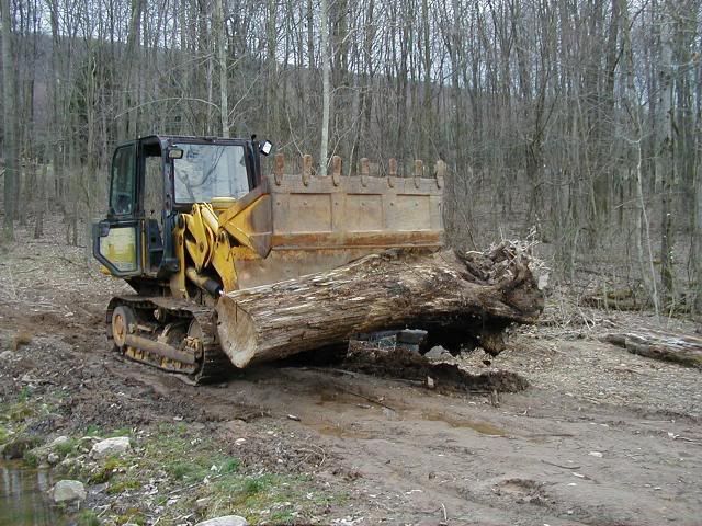 FloppedDeere037sm.jpg