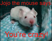 [Image: crazymouse.png]